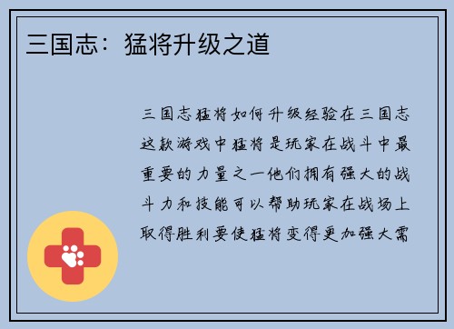 三国志：猛将升级之道