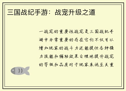 三国战纪手游：战宠升级之道